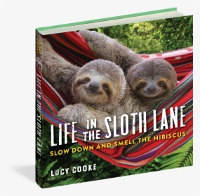 Transparent Sloth Png - Life In The Sloth Lane, Png Download, Transparent PNG