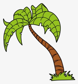 Palm Trees Drawing Png - Arbol Cocotero Para Colorear, Transparent Png, Transparent PNG