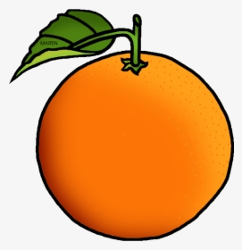 Orange Free United States Cli - Orange Clipart, HD Png Download, Transparent PNG