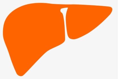 File Noun Cc Orange Wikimedia Commons Open - Orange Liver, HD Png Download, Transparent PNG