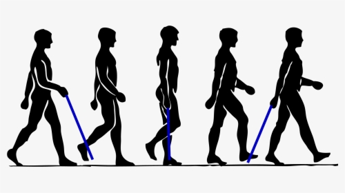 Walking Person Clip Art - Man Walking Step By Step, HD Png Download, Transparent PNG