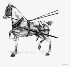 Transparent Horse Racing Clipart - Stallion, HD Png Download, Transparent PNG
