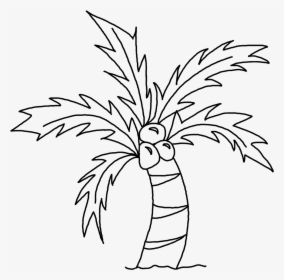 Drawing Picture Of Coconut Tree - Easy Drawing Of Coconut Tree, HD Png Download, Transparent PNG