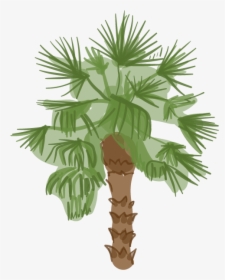 Cartoon Png Desert Palm Trees, Transparent Png, Transparent PNG