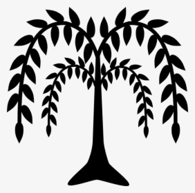 Transparent Palm Trees Clip Art - Drawing Of Weeping Willow Tree, HD Png Download, Transparent PNG
