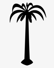 Coconut Palm Tree Drawing, HD Png Download, Transparent PNG