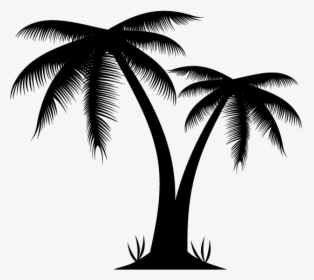 Arecaceae Euclidean Vector Illustration - Silhouette Palm Trees Png, Transparent Png, Transparent PNG