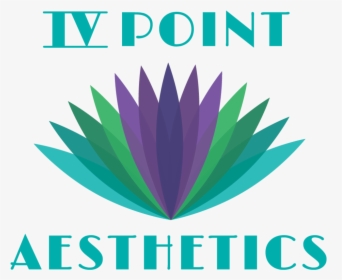 Aesthetics Png, Transparent Png, Transparent PNG