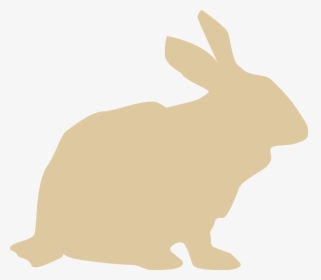 Transparent Rabbit Icon Png - Domestic Rabbit, Png Download, Transparent PNG