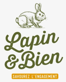 Logo Lapinetbien Def Plan De Travail 1 - Domestic Rabbit, HD Png Download, Transparent PNG