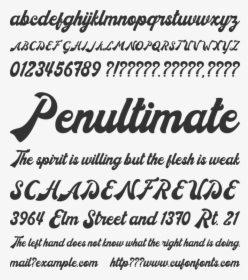 Donatello Font Preview - Calligraphy, HD Png Download, Transparent PNG