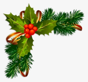 Sapins Branches De Sapins Christmas Tree Abeto Con - Transparent Background Christmas Holly, HD Png Download, Transparent PNG