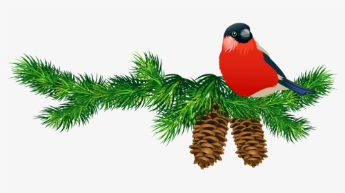 Christmas Tree Branch Png Download - Free Clipart Christmas Birds, Transparent Png, Transparent PNG