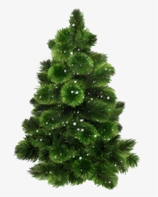 0 17253d D7cd431b L Christmas Mix, Xmas Tree, Christmas - Bonsai Tree With Transparent Background, HD Png Download, Transparent PNG