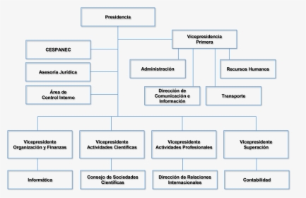 Estructura, HD Png Download, Transparent PNG