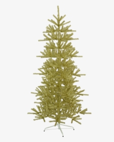 Christmas Tree Sparkle - Christmas Tree, HD Png Download, Transparent PNG