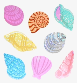 Sea, Shell, And Sticker Image, HD Png Download, Transparent PNG