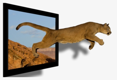 Mountain & Lion, HD Png Download, Transparent PNG