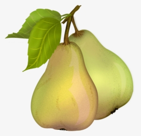 Pear Duo - Pears Clipart Png, Transparent Png, Transparent PNG