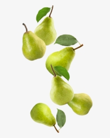Transparent Pears Png - Asian Pear, Png Download, Transparent PNG