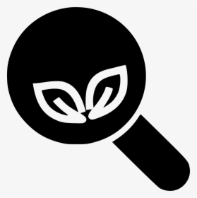 Organic Search - Circle, HD Png Download, Transparent PNG