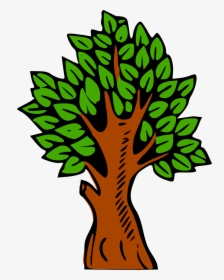 Transparent Wood Clipart - Colour In Pictures Of Trees, HD Png Download, Transparent PNG