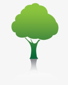 Forest-icon - Clipart Green Tree Png, Transparent Png, Transparent PNG