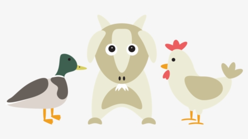 Duck Chicken Feed Website Icon - Duck And Chicken Icon Png, Transparent Png, Transparent PNG