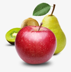 Manzana Png Transparente, Png Download, Transparent PNG