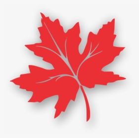 Transparent Maple Leaves Clipart - Chinar Leaf Kashmir Logo, HD Png Download, Transparent PNG