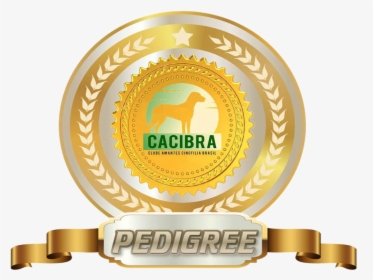 Transparent Pedigree Logo Png - Gold Circle Logo Png, Png Download, Transparent PNG