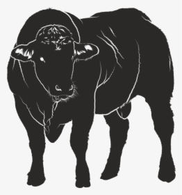 Bull, Silhouette, Black, Isolated Form, Animal, Shadow - Warnschild Bulle, HD Png Download, Transparent PNG