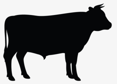 Clip Art Vector Graphics Angus Cattle Silhouette Holstein - Cow Silhouette Vector, HD Png Download, Transparent PNG