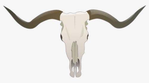 Longhorn Skull, HD Png Download, Transparent PNG