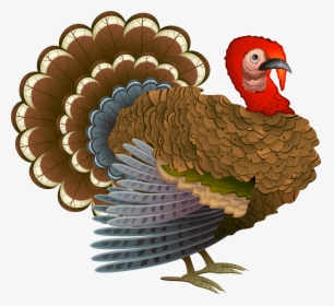 Turkey Png Clipart - Turkeys For Thanksgiving, Transparent Png, Transparent PNG