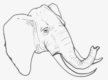 File - Elephant Clipart - Elephant Sketch Line Drawing, HD Png Download, Transparent PNG