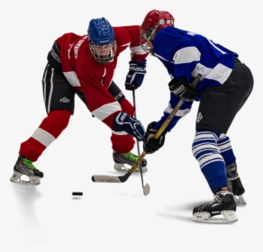 Sports,ice Hockey Equipment,hockey Protective Equipment,hockey - Ice Hockey Players Png, Transparent Png, Transparent PNG