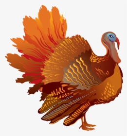 Thanksgiving Sideview Turkey - Thanksgiving Turkey Transparent Background, HD Png Download, Transparent PNG
