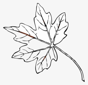 Transparent Leaves - Papaya Leaves Black And White, HD Png Download, Transparent PNG