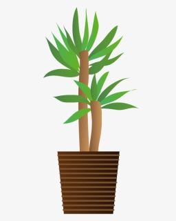 Yucca Clipart 商用 フリー イラスト 観葉 植物 Hd Png Download Transparent Png Image Pngitem
