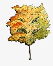 Transparent Site Plan Trees Png - Transparent Watercolor Trees Architecture, Png Download, Transparent PNG