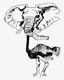 Ostrich Elephant Hybrid, HD Png Download, Transparent PNG