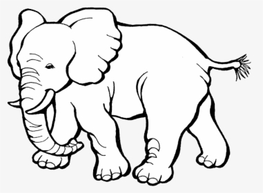 Elephant Image Result For Black And White Elephants - Elephant Black And White, HD Png Download, Transparent PNG