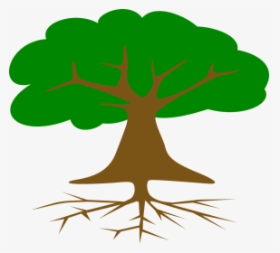 Roots Of American Democracy Tree, HD Png Download, Transparent PNG
