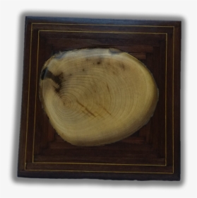 A Tree Section - Picture Frame, HD Png Download, Transparent PNG