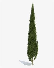 Transparent Png, Transparent PNG