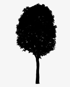 Tree-2 - Black Tree Silhouette Png, Transparent Png, Transparent PNG