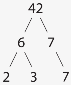 Factor Tree Of 42, HD Png Download, Transparent PNG