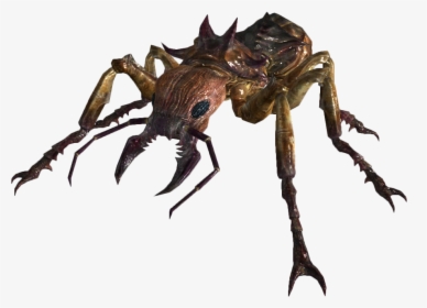 Giant Soldier Ant - Fallout Giant Ant, HD Png Download, Transparent PNG