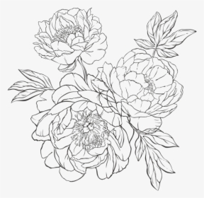 To Handing Out Paper Flowers I Hand Crafted For My - Line Art, HD Png Download, Transparent PNG